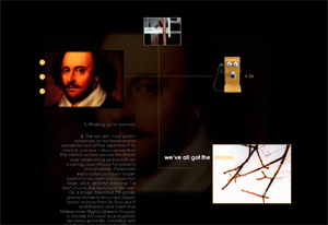 sf6.local.003 screenshot